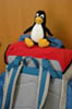 DSCN0793
