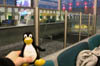 DSCN0836