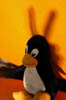 DSCN0859
