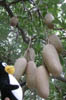 DSCN1461