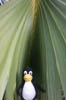 DSCN1465