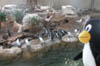 DSCN1642