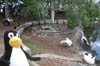 DSCN1643