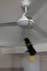 DSCN1832