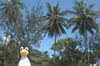 DSCN2286