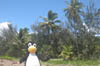 DSCN2288