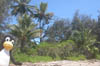 DSCN2293
