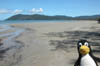DSCN2736